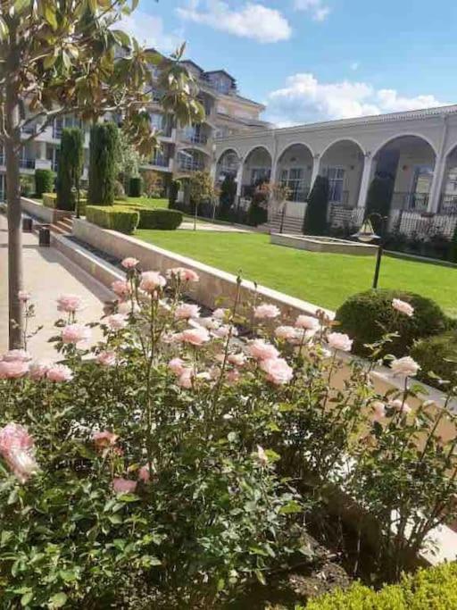 Studio E32 Atia Resort Chernomoretz TTchernomorets Extérieur photo